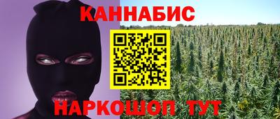 хмурый Бийск