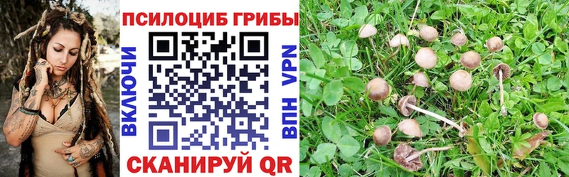 Галлюциногенные грибы Cubensis  купить  сайты  блэк спрут маркетплейс  Губкинский 