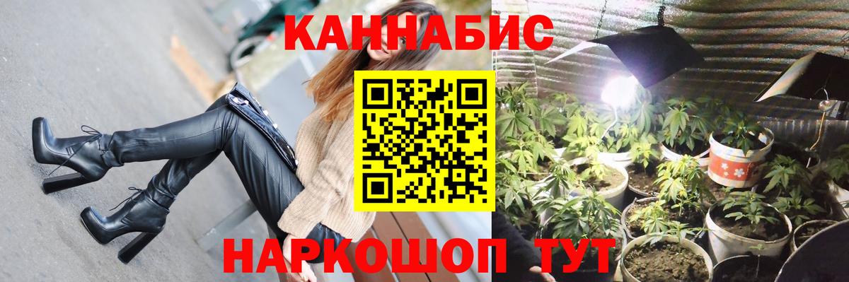 Бошки марихуана конопля Губкинский